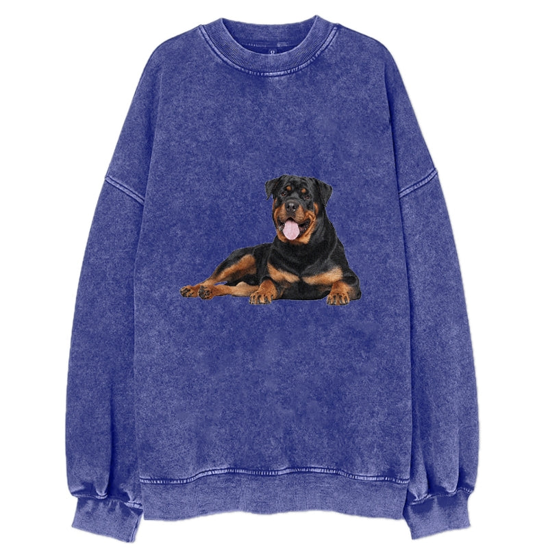 Sudadera rottweiler online