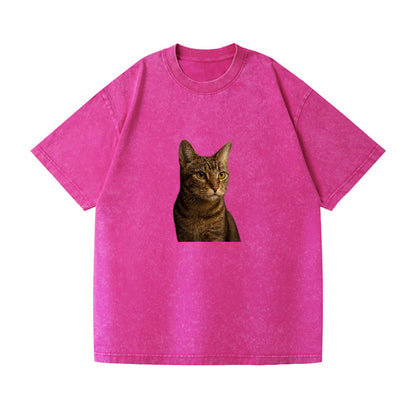 playful-cat-playful-spirit Hat