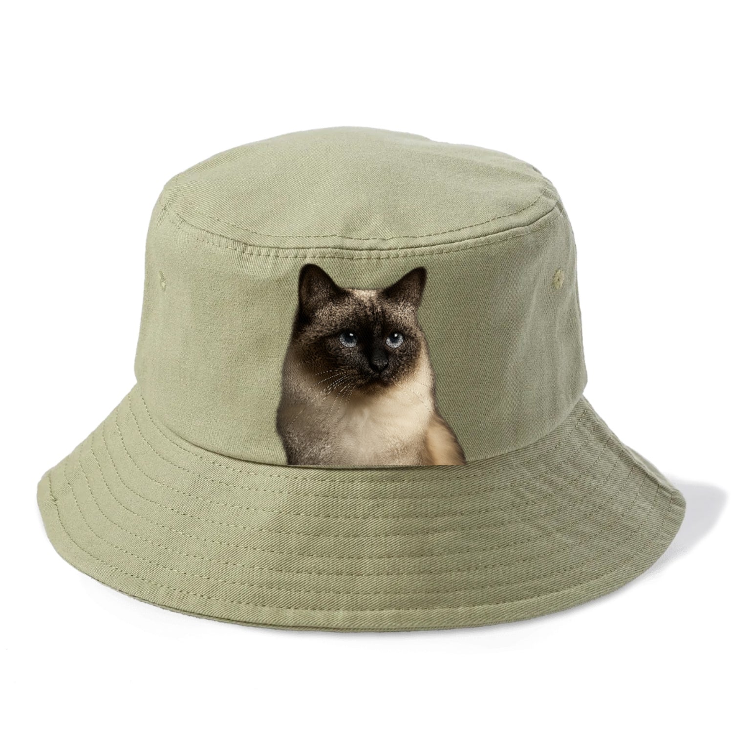 birman-cat-serene-elegance Hat
