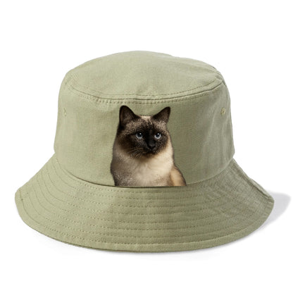 birman-cat-serene-elegance Hat