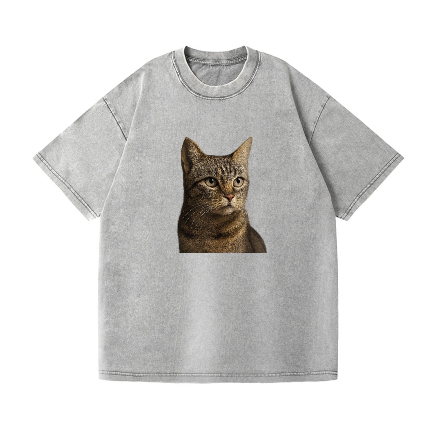 stray-cat-resilient-spirit Hat