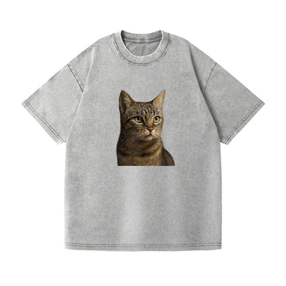 stray-cat-resilient-spirit Hat