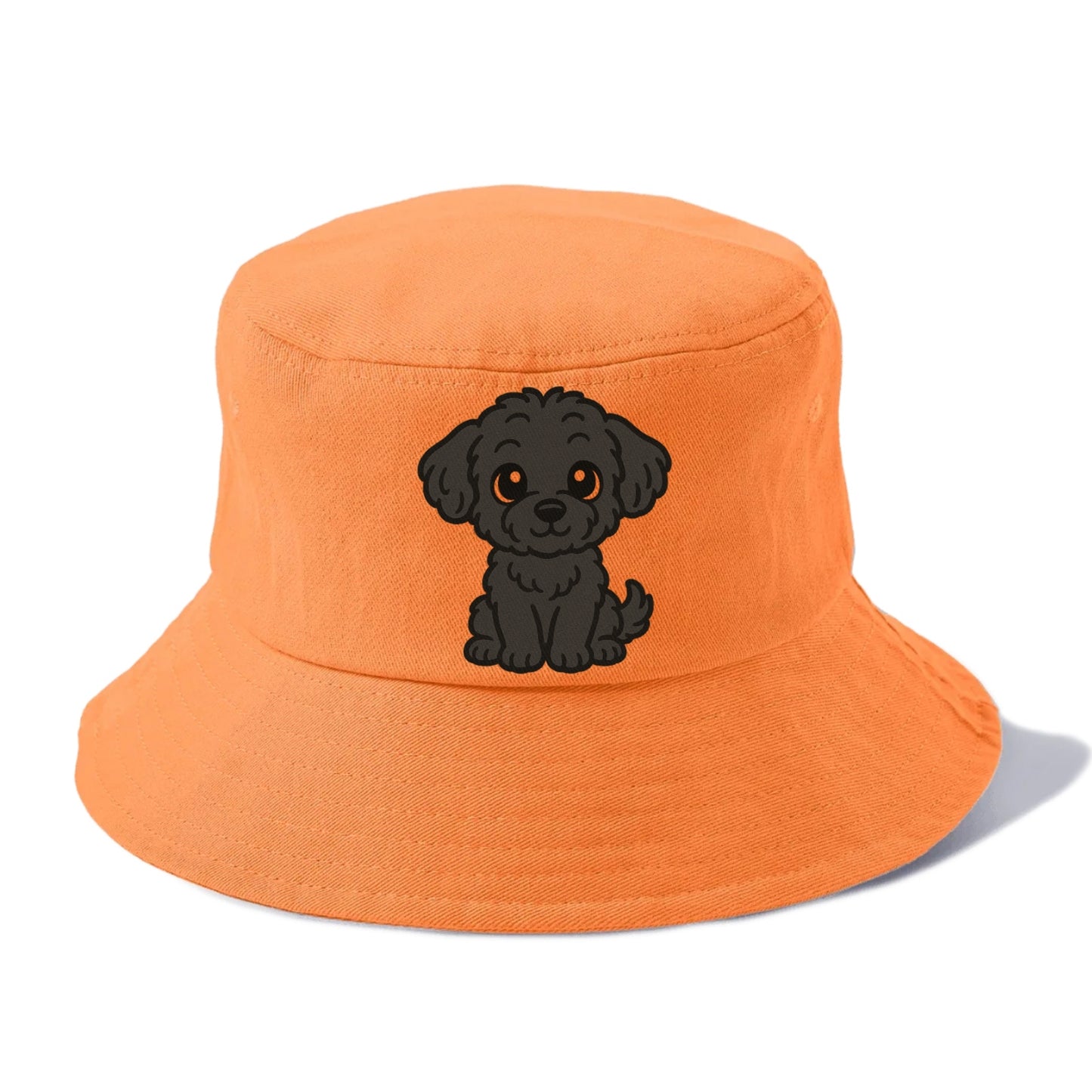 black maltipoo black curly sitting pose portrait design Hat