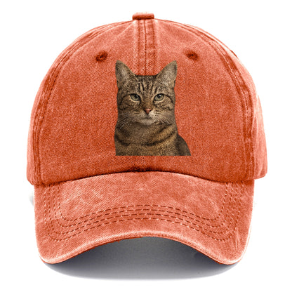 content-cat-curious-charm Hat