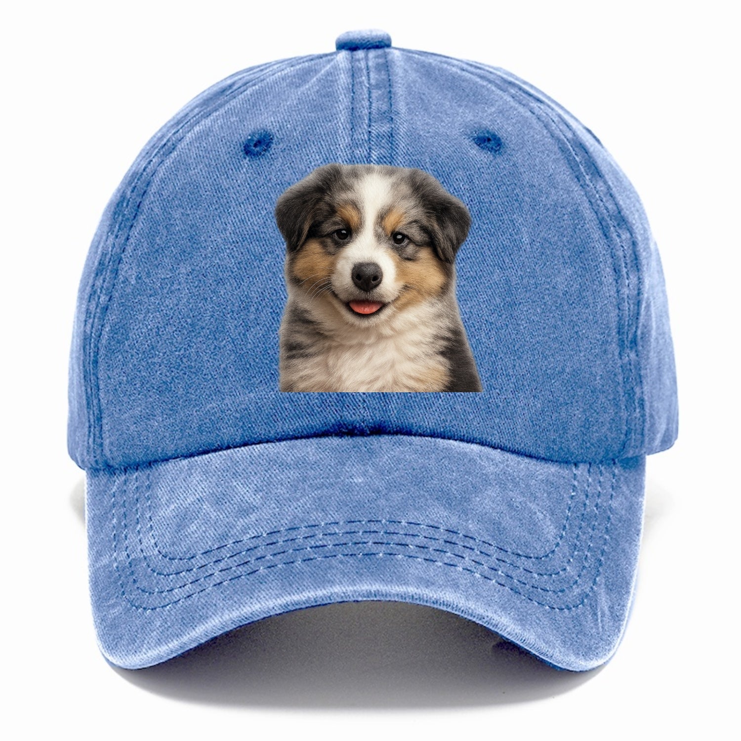 australian shepherd puppy portrait design Hat