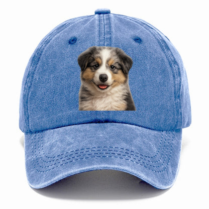 australian shepherd puppy portrait design Hat