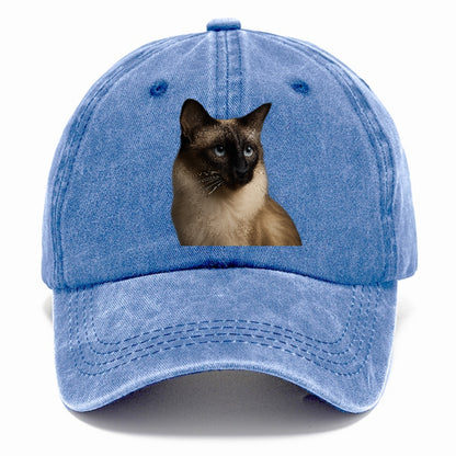 javanese-mystic-aura Hat