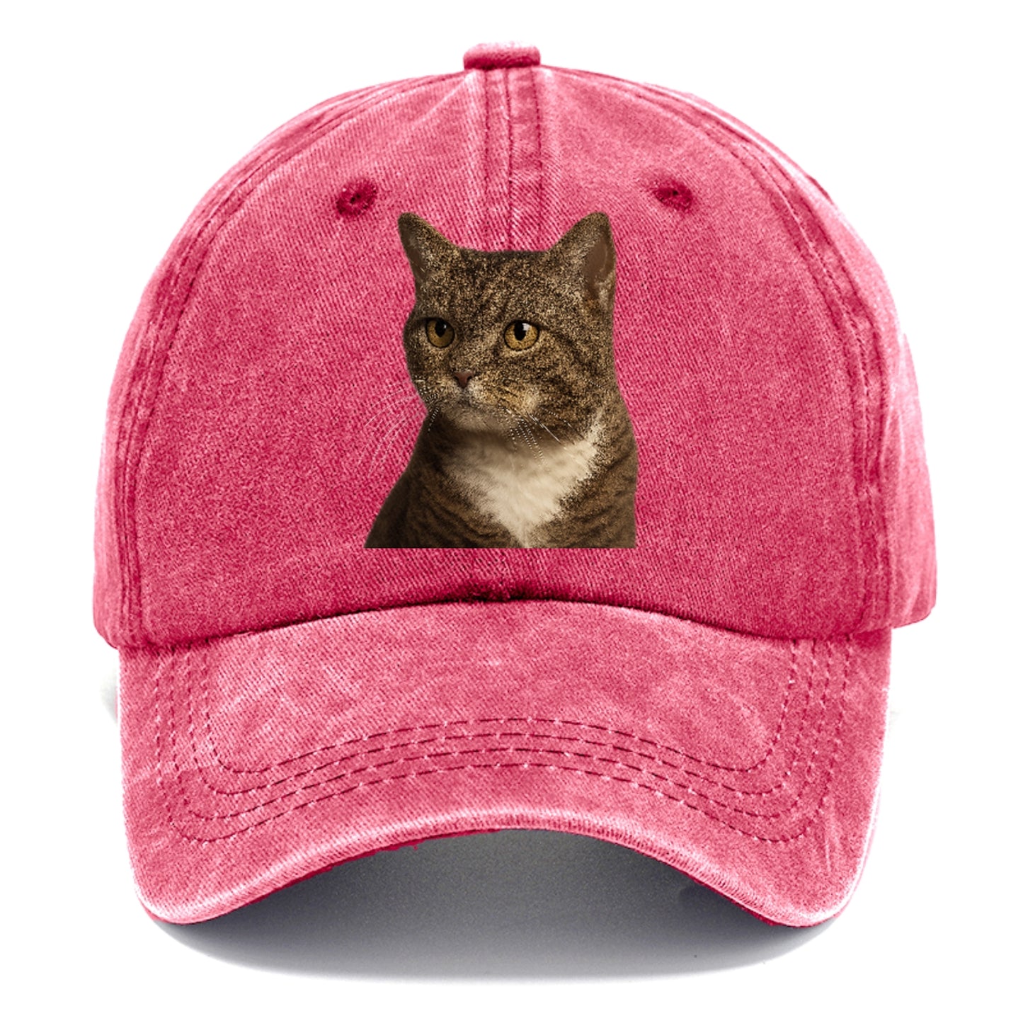 american-wirehair-unique-charm Hat