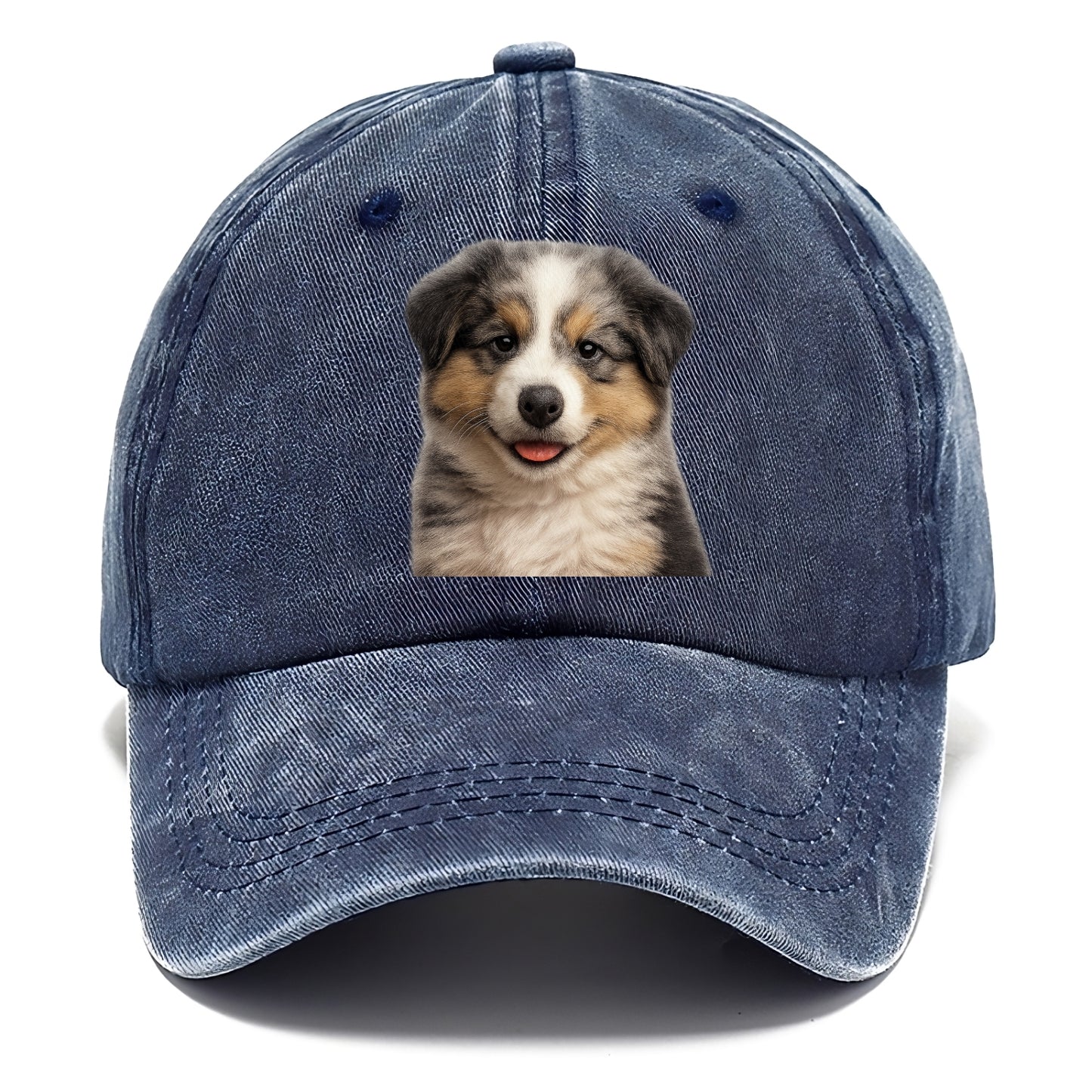 australian shepherd puppy portrait design Hat