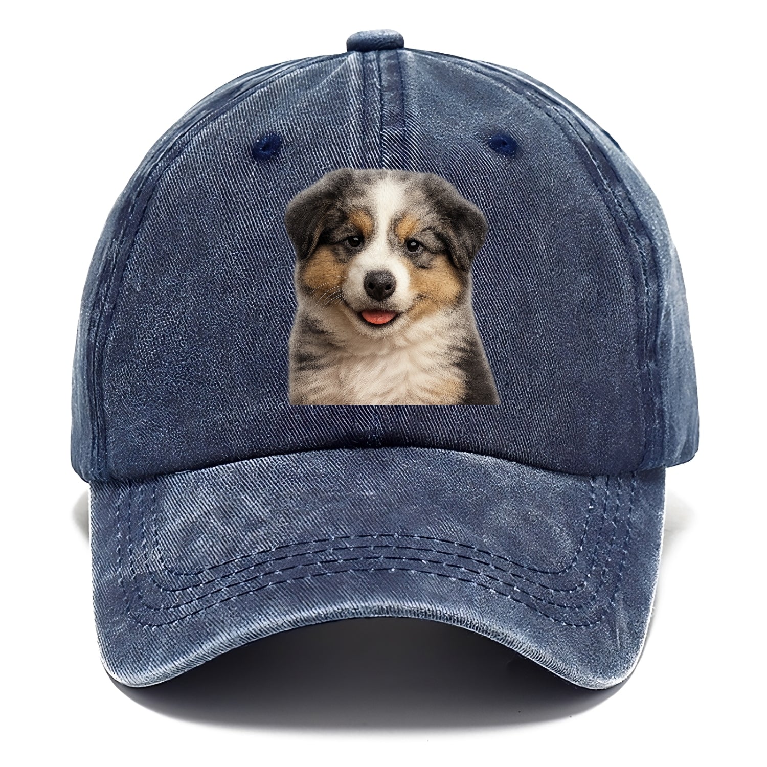 australian shepherd puppy portrait design Hat