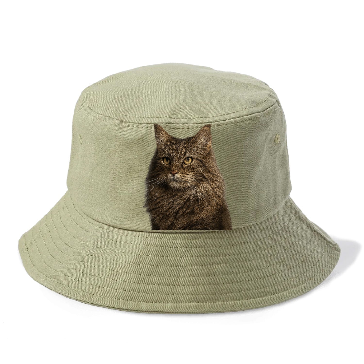 norwegian-forest-cat-wilderness-spirit Hat