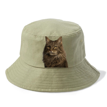 norwegian-forest-cat-wilderness-spirit Hat