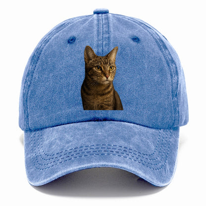 playful-cat-playful-spirit Hat