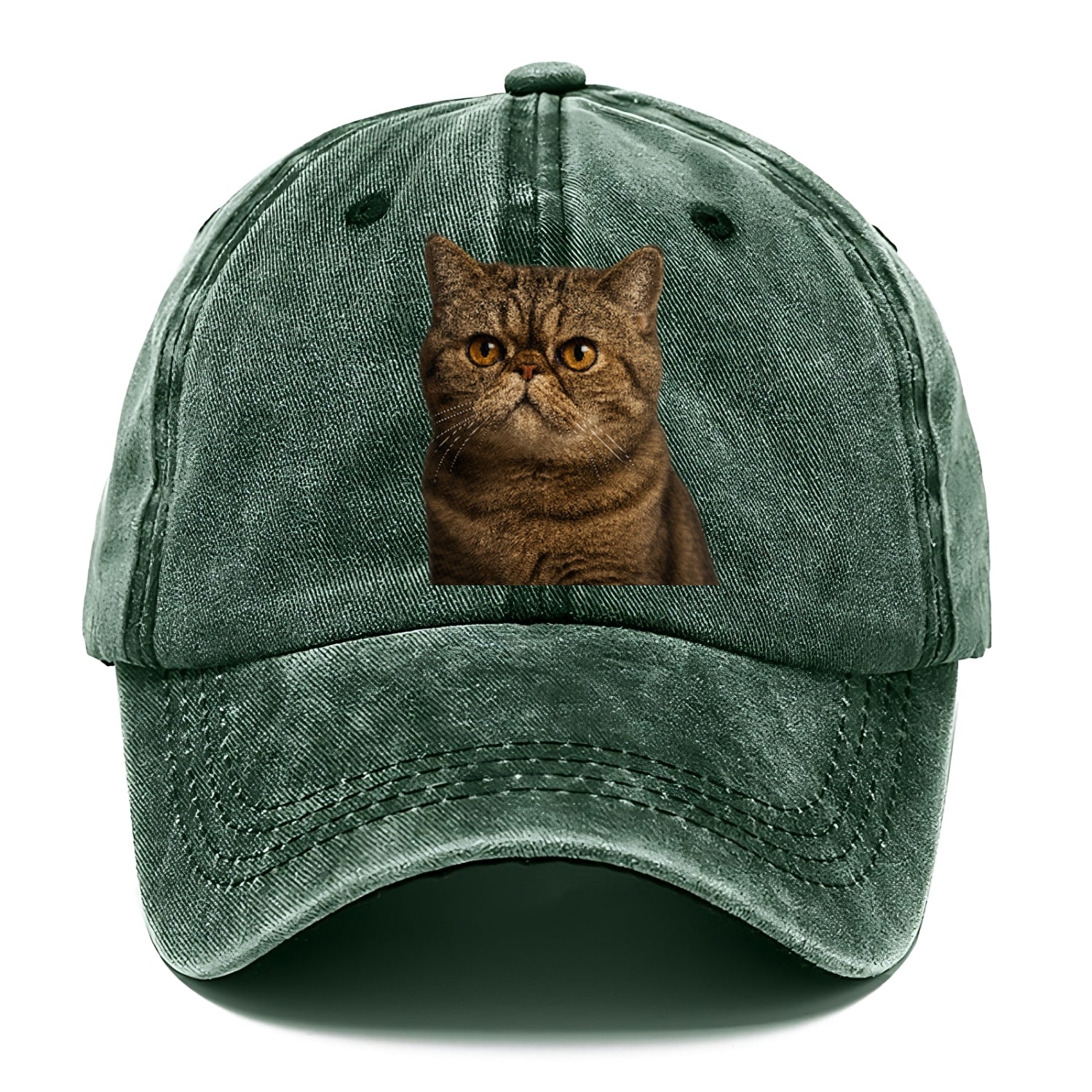 exotic-shorthair-charm Hat