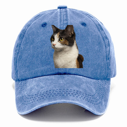japanese-bobtail-playful-spirit Hat