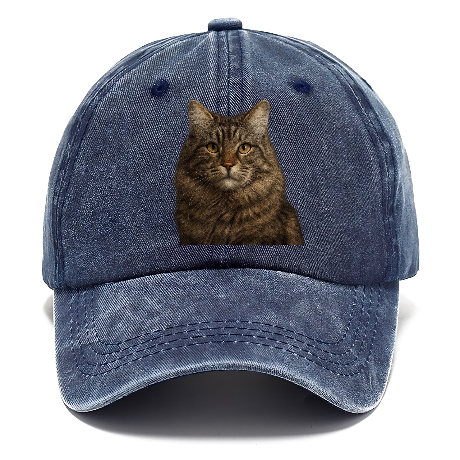 maine coon majestic feline Hat