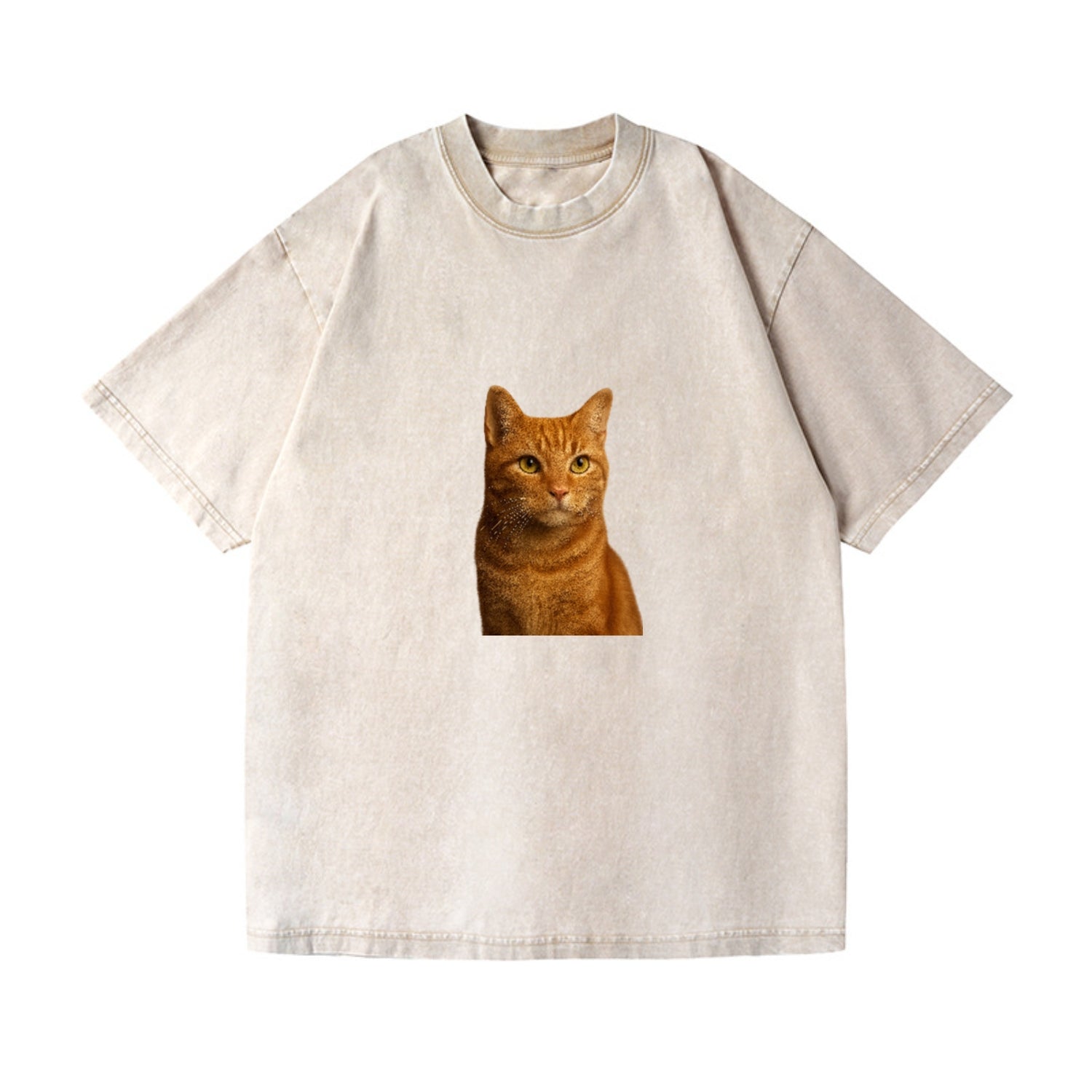 orange-tabby-cozy-companion Hat