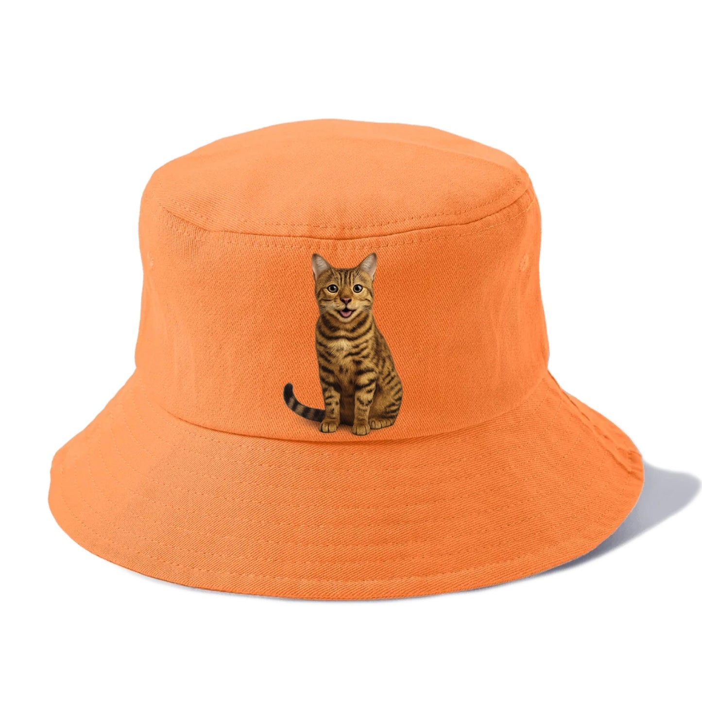 whiskered wonders Hat