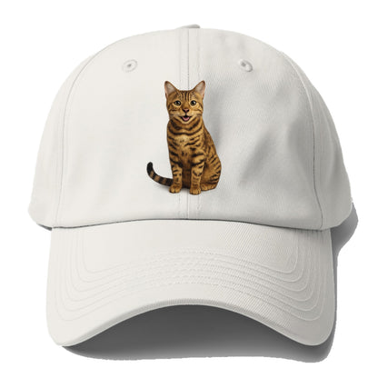 whiskered wonders Hat