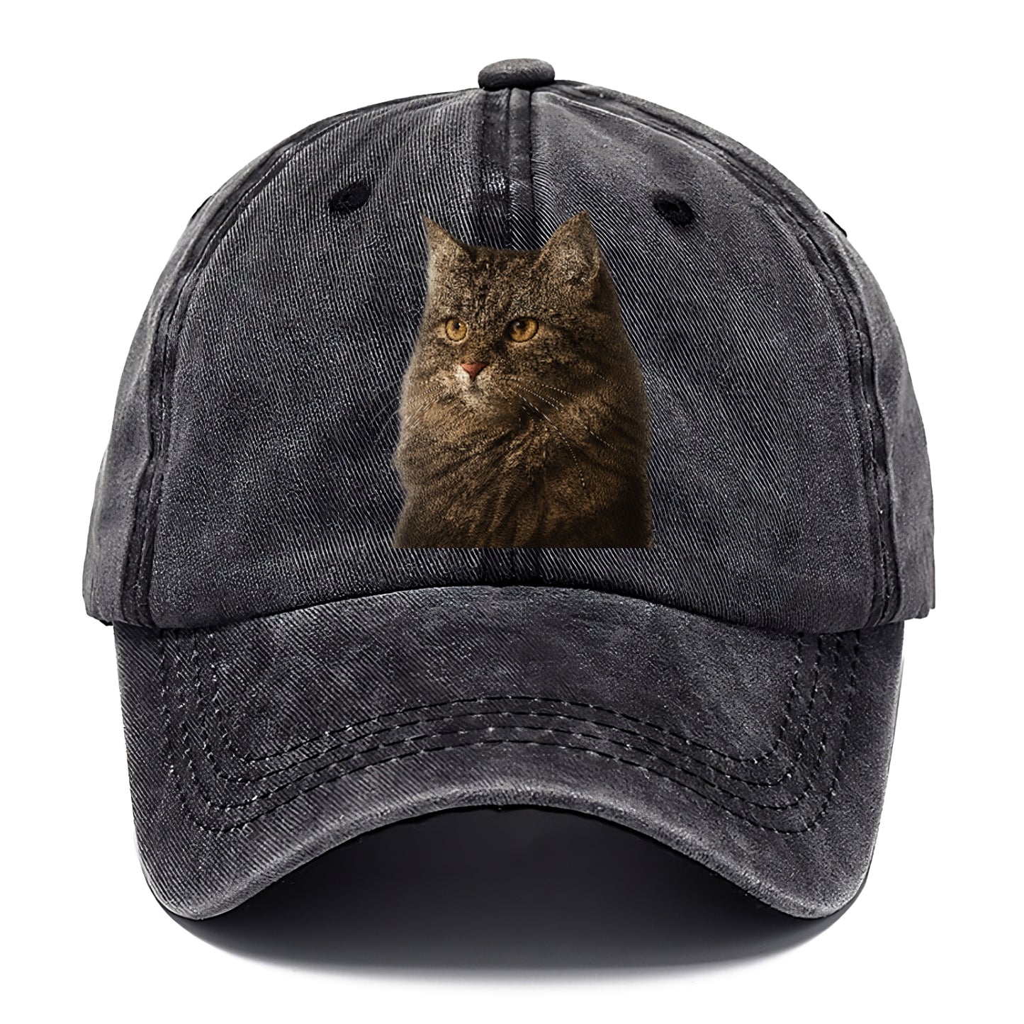 domestic-longhair-graceful-charm Hat