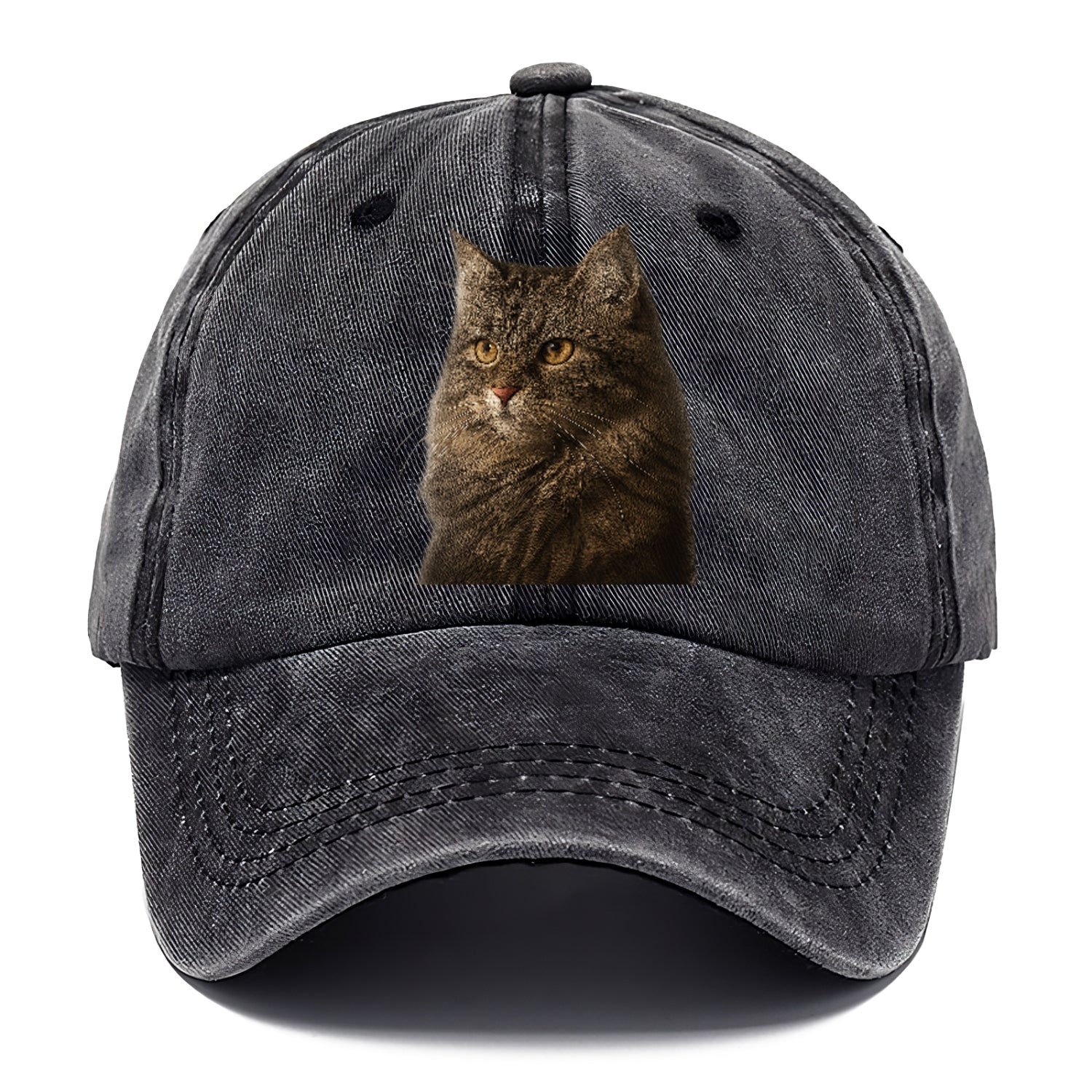 domestic-longhair-graceful-charm Hat
