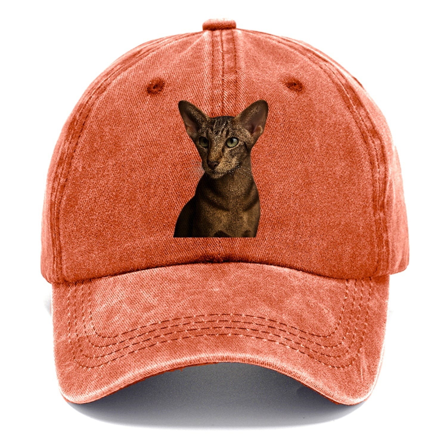 oriental-shorthair-sleek-charm Hat