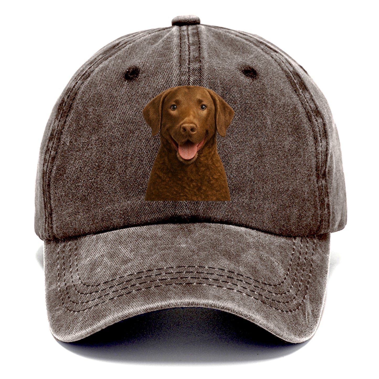 chesapeake bay retriever: rugged waterdog spirit Hat