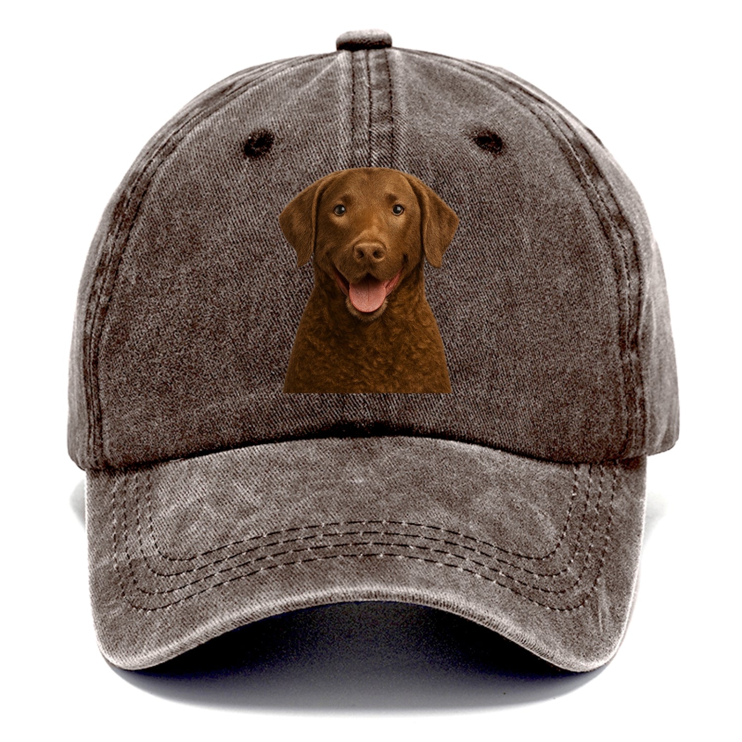 chesapeake bay retriever: rugged waterdog spirit Hat