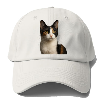 japanese-bobtail-playful-charm Hat