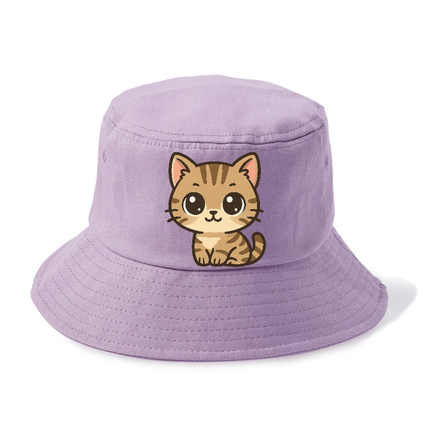 tabby-mix-playful-spirit Hat