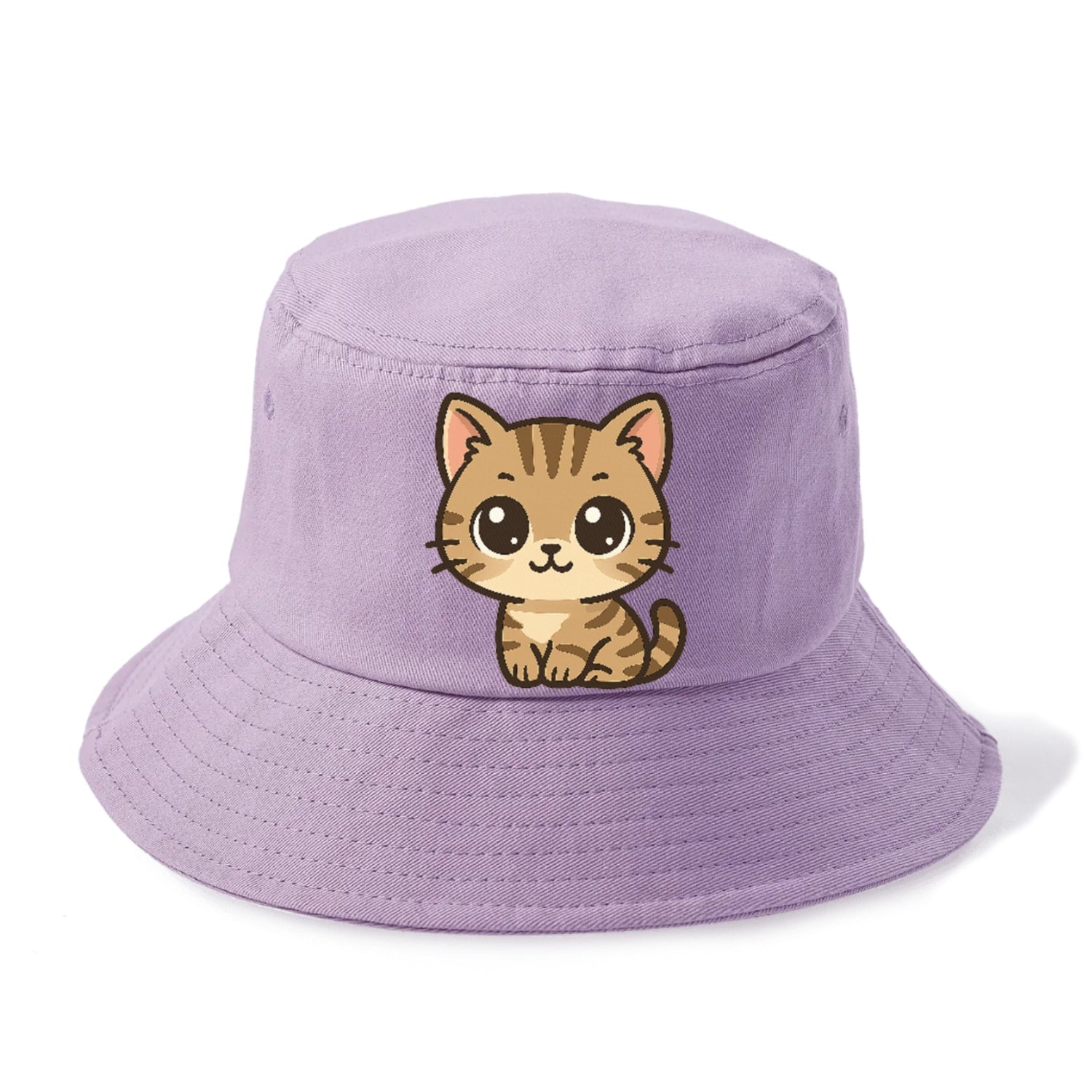 tabby-mix-playful-spirit Hat