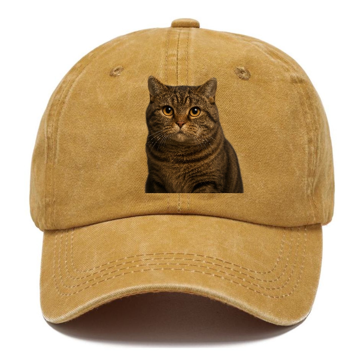 manx-cat-distinct-charm Hat