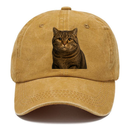 manx-cat-distinct-charm Hat