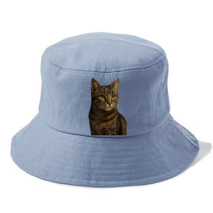 barn-cat-rustic-charm Hat