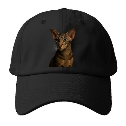 oriental-shorthair-sleek-charm Hat