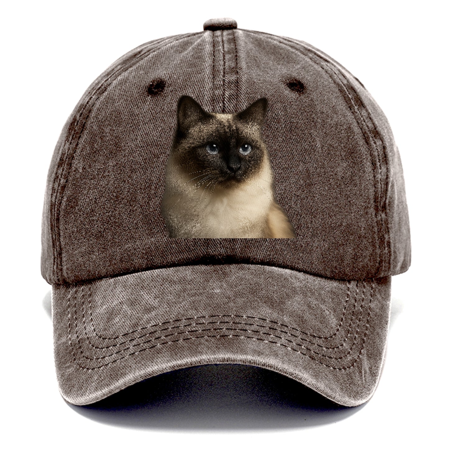 birman-cat-serene-elegance Hat
