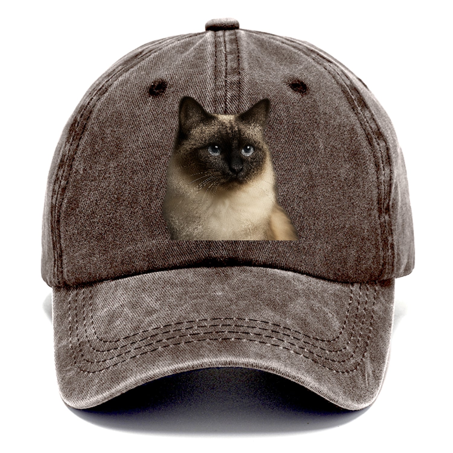 birman-cat-serene-elegance Hat