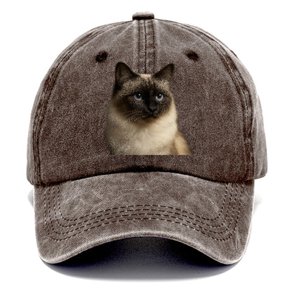 birman-cat-serene-elegance Hat