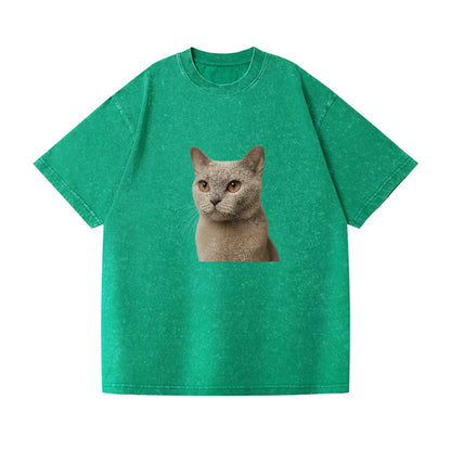 lilac-cat-playful-spirit Hat