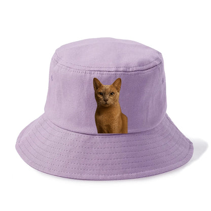 fawn-cat-playful-spirit Hat