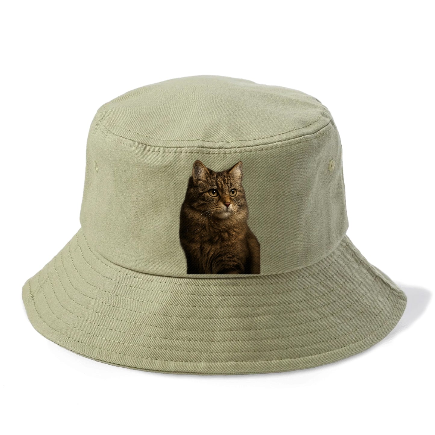 domestic-longhair-graceful-flow Hat