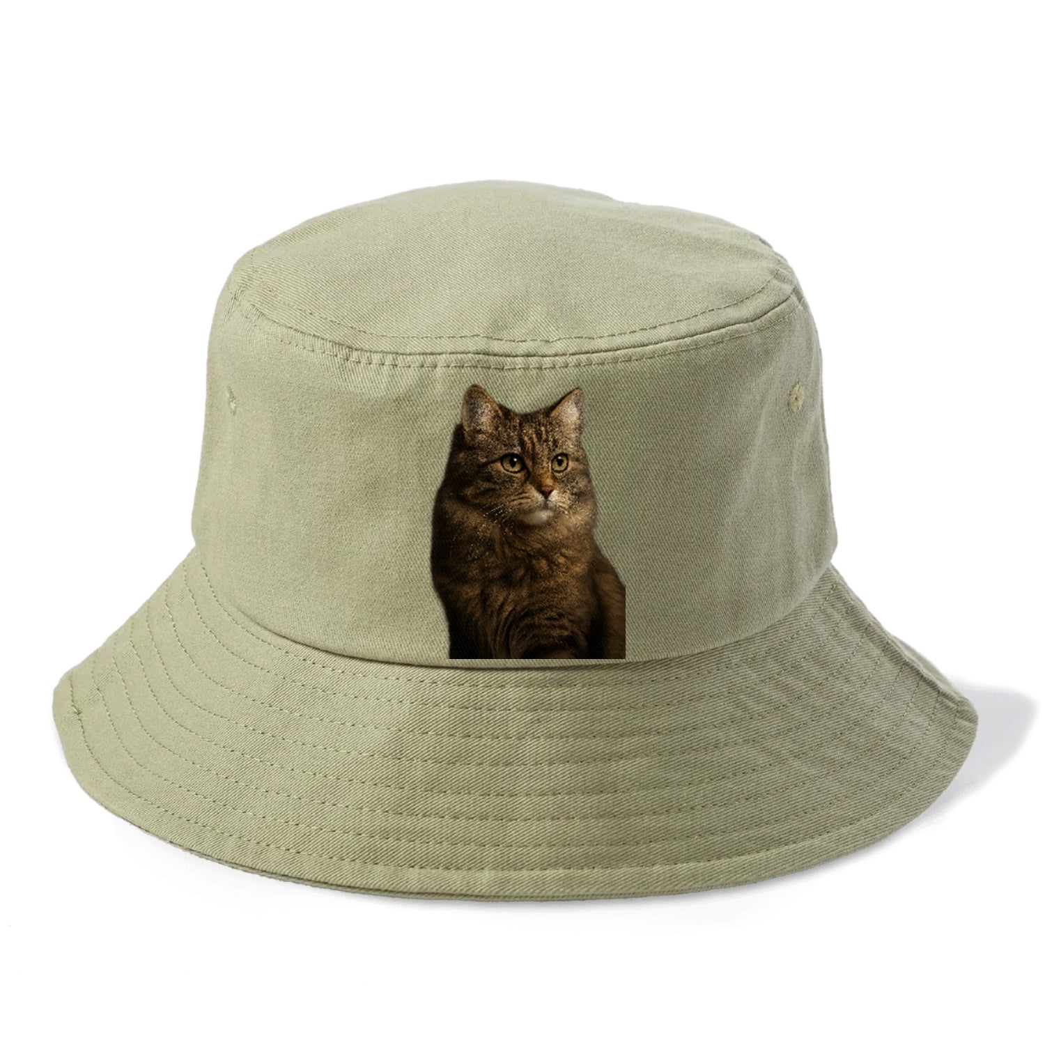 domestic-longhair-graceful-flow Hat