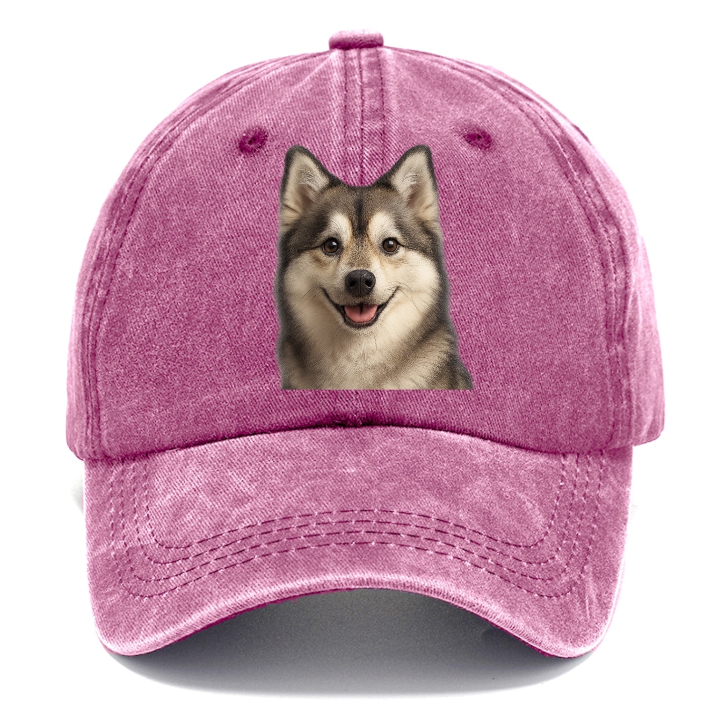 pomsky portrait design Hat