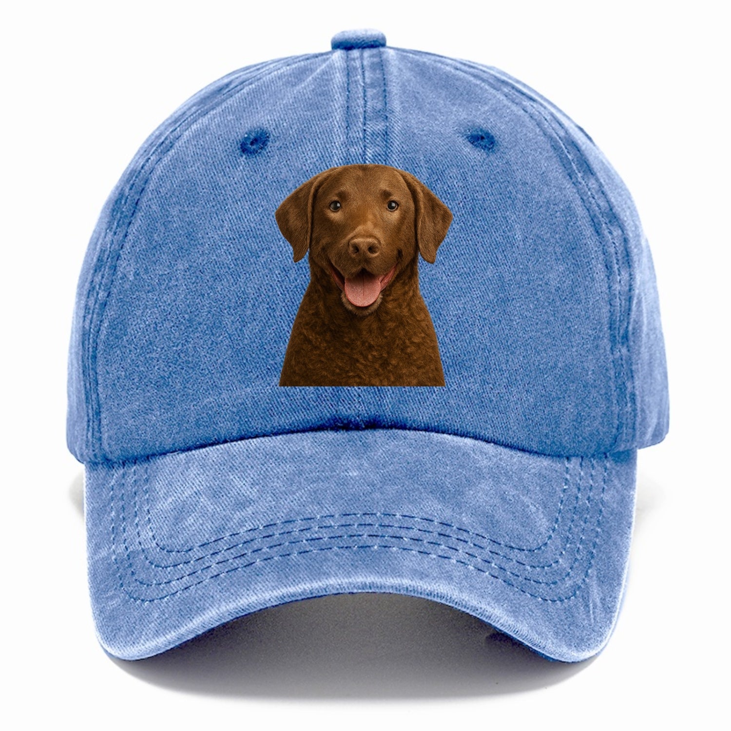chesapeake bay retriever: rugged waterdog spirit Hat