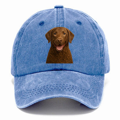 chesapeake bay retriever: rugged waterdog spirit Hat