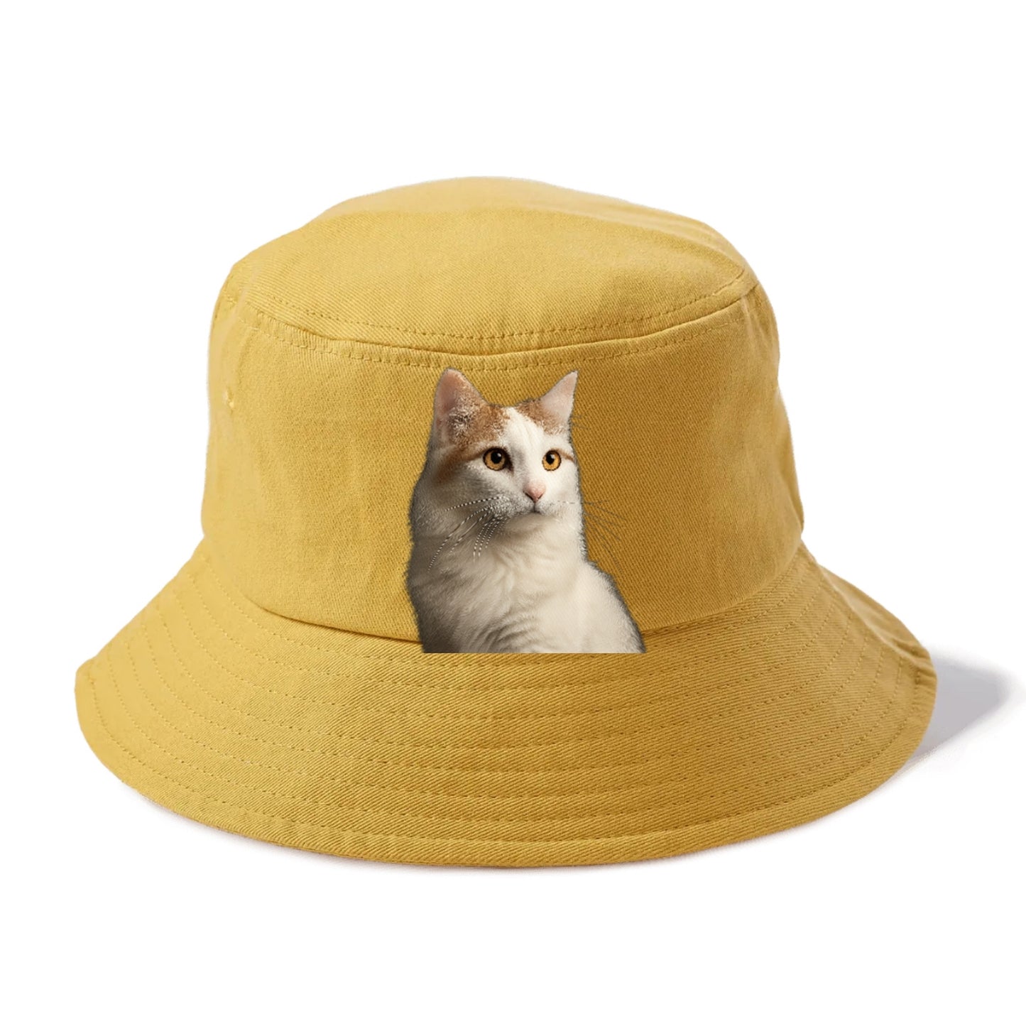 turkish-van-aquatic-elegance Hat