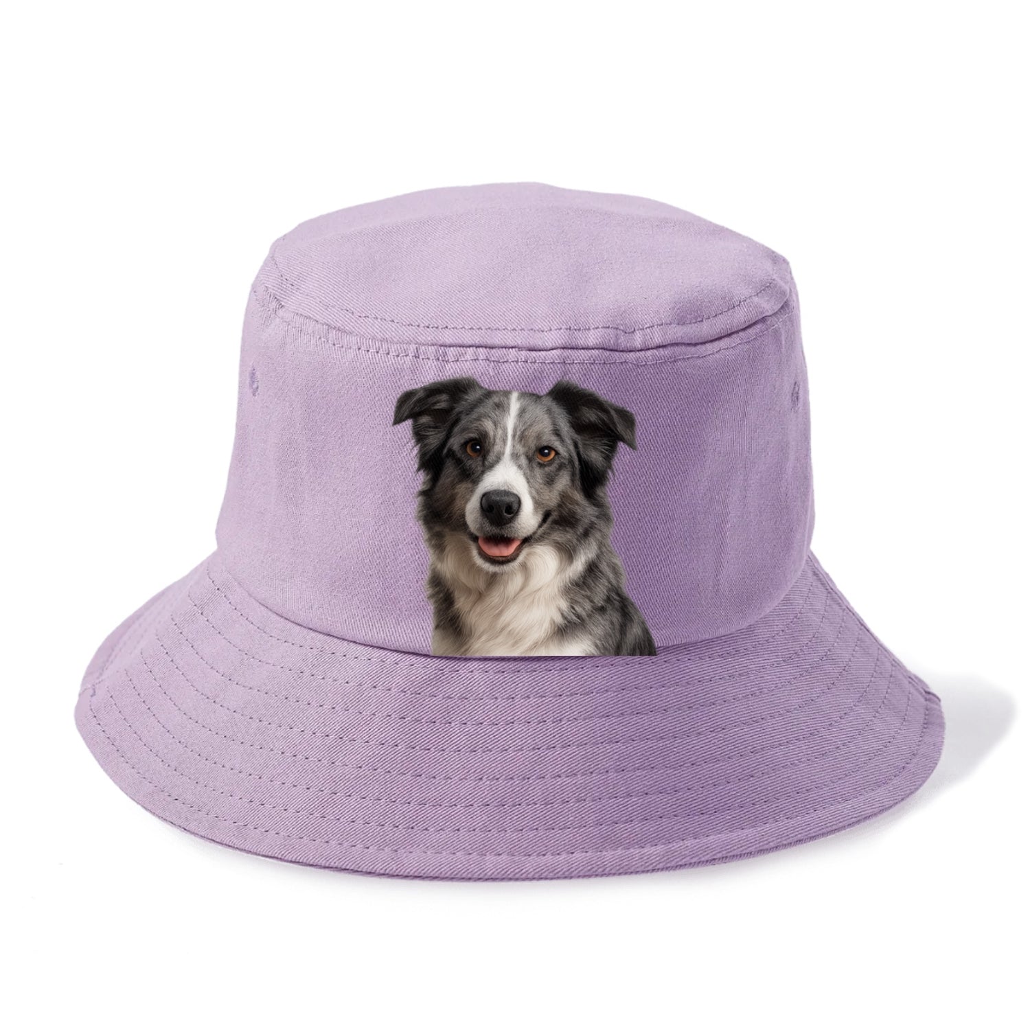 blue merle border collie agile mind Hat