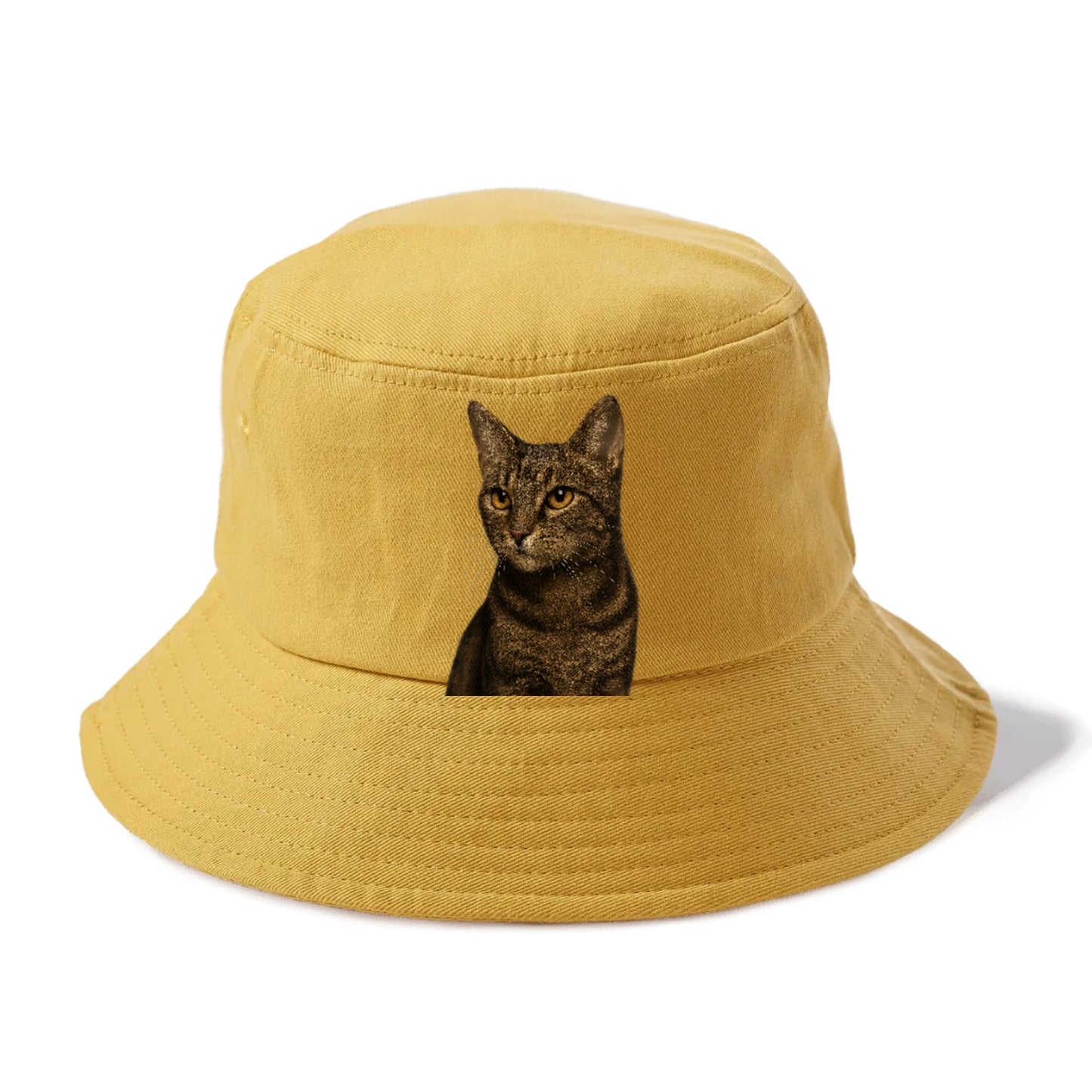 alert-cat-ready-radiant Hat