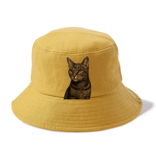 alert-cat-ready-radiant Hat