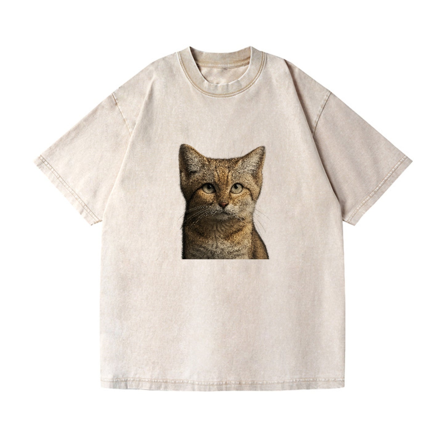 sand-cat-desert-spirit Hat